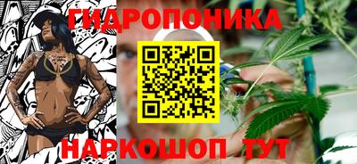 2c-b Пугачёв