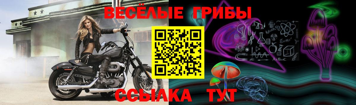 Псилоцибиновые грибы мухоморы Санкт-Петербург
